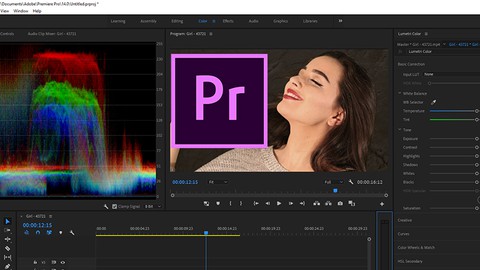 Adobe Premier Pro Mega Course In Hindi 11 Plus Hour