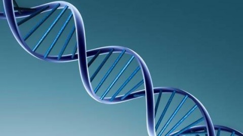 The Lunatic Gene. The Reason Your Life Will Never Make Sense
