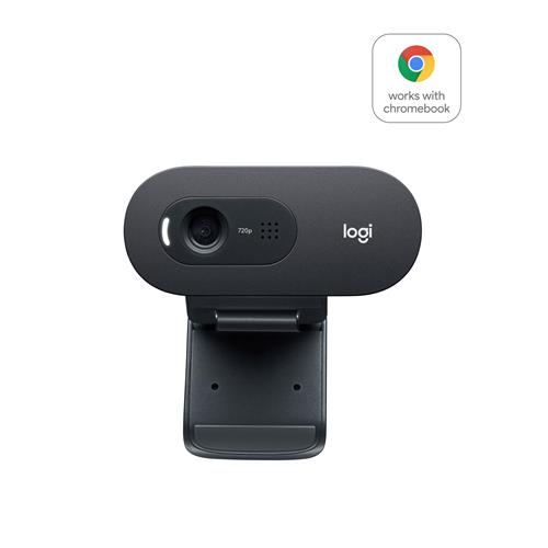 Logitech C505 HD Webcam