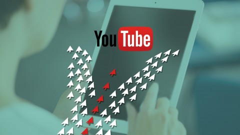 Zero Cost traffic Case Study