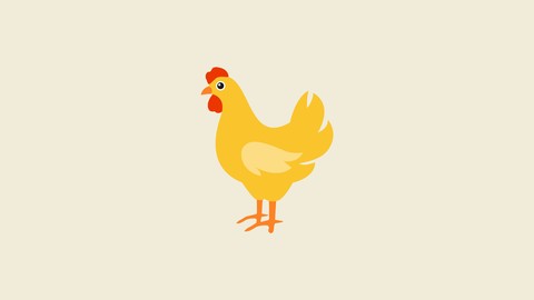 Earn Extra Income With Profitable Broiler chicken Production