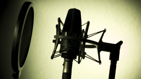 Voice Over Pro: How to Perform & Record Standout Voice Overs