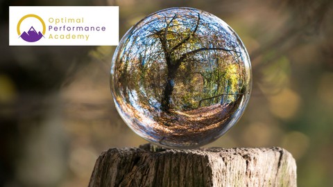 Discovering Your Purpose in Your Next Business