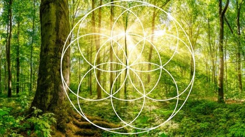 Attuning to the Earth