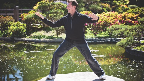 Tai Chi Fit FLOW with David-Dorian Ross (Tai Chi Bestseller)