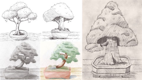 Drawing, Shading and Coloring Bonsai Trees in Procreate