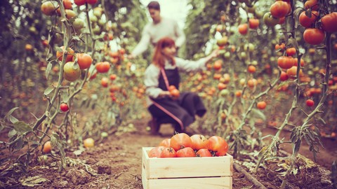 Agriculture 4.0 - The Agriculture Industry in Industry 4.0