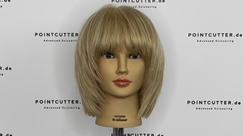 Become a Haircutter - Unit 7 - 10