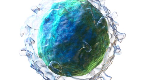 Biotechnology - Immunology Basics