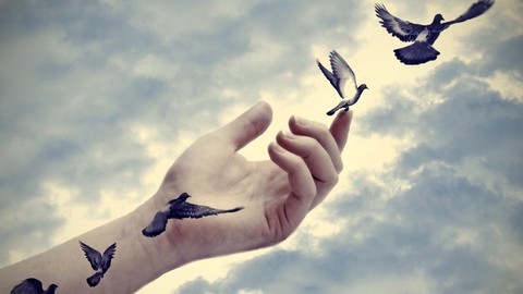 Emotional Healing and Self Acceptance