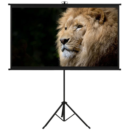 Projection Screen with Tripod 72' 16:9