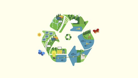 How to make your Organization Green