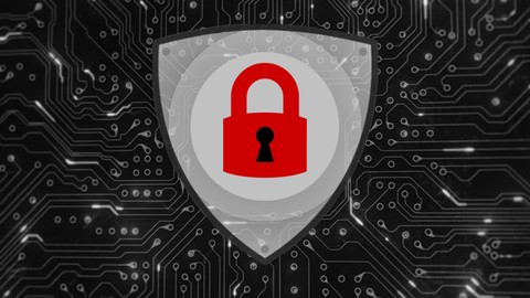 Cyberhacker Series: Wireless Hacking Ninja
